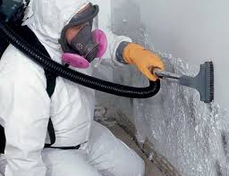 Best Asbestos and Lead Testing During Mold Inspection  in Wolfe City, TX